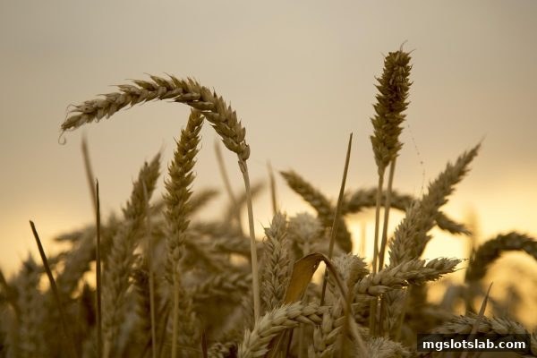 mg电子游戏攻略：JILI电子新手礼包领取全流程解密